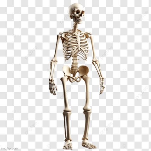 So halloween is on friday, what are y’all going trick or treating as | made w/ Imgflip meme maker