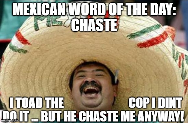 mexican word of the day | MEXICAN WORD OF THE DAY:
CHASTE; I TOAD THE                            COP I DINT
DO IT ... BUT HE CHASTE ME ANYWAY! | image tagged in mexican word of the day | made w/ Imgflip meme maker