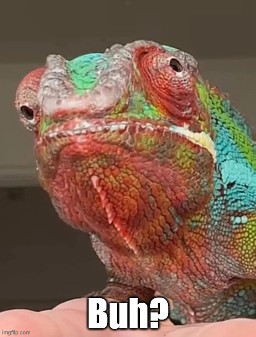 Buh? | made w/ Imgflip meme maker