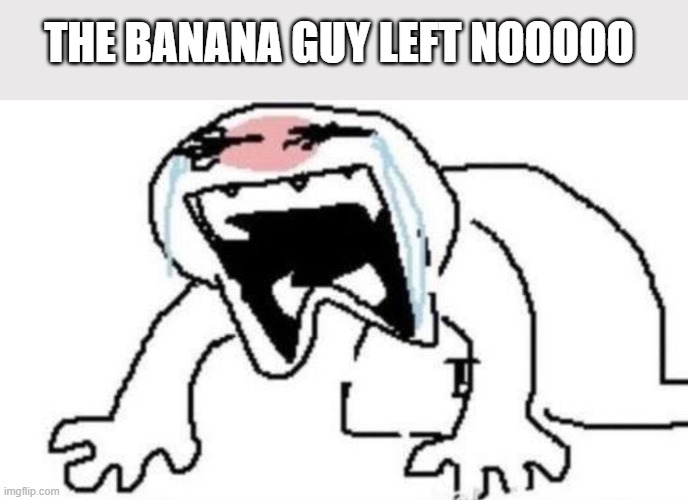 cro was from the high school aw that means i wont see a walking banana at the college </3 | THE BANANA GUY LEFT NOOOOO | image tagged in ugly crying | made w/ Imgflip meme maker
