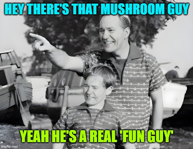 HEY THERE'S THAT MUSHROOM GUY YEAH HE'S A REAL 'FUN GUY' | image tagged in look | made w/ Imgflip meme maker