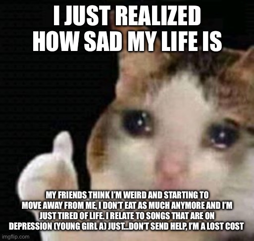 Yay | I JUST REALIZED HOW SAD MY LIFE IS; MY FRIENDS THINK I’M WEIRD AND STARTING TO MOVE AWAY FROM ME, I DON’T EAT AS MUCH ANYMORE AND I’M JUST TIRED OF LIFE. I RELATE TO SONGS THAT ARE ON DEPRESSION (YOUNG GIRL A) JUST…DON’T SEND HELP, I’M A LOST COST | image tagged in sad thumbs up cat | made w/ Imgflip meme maker