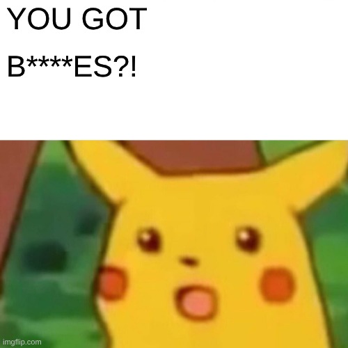 Surprised Pikachu Meme | YOU GOT B****ES?! | image tagged in memes,surprised pikachu | made w/ Imgflip meme maker