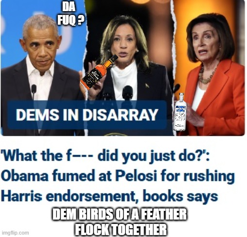 Even Obama See It | DA
  FUQ ? DEM BIRDS OF A FEATHER
 FLOCK TOGETHER | image tagged in leftists,liberals,democrats,harris,pelosi | made w/ Imgflip meme maker