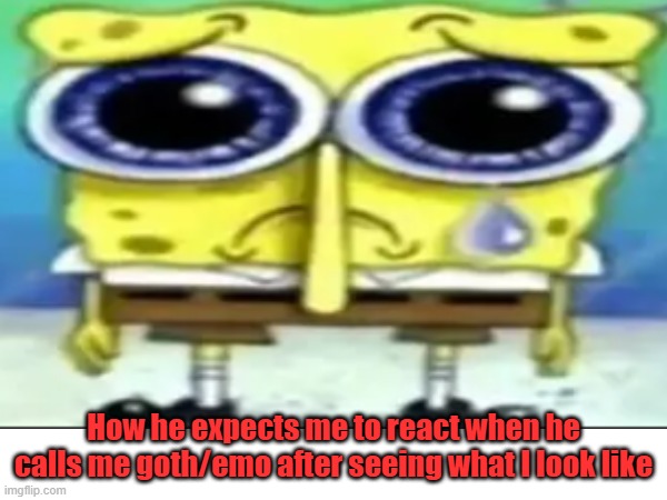 RAHH | How he expects me to react when he calls me goth/emo after seeing what I look like | image tagged in hehe | made w/ Imgflip meme maker