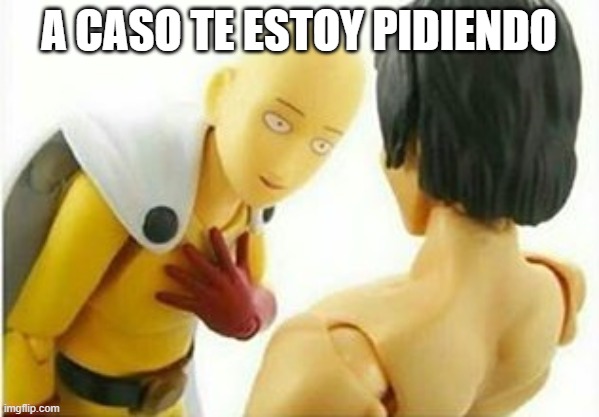 Carribbean One Punch Man | A CASO TE ESTOY PIDIENDO | image tagged in carribbean one punch man | made w/ Imgflip meme maker