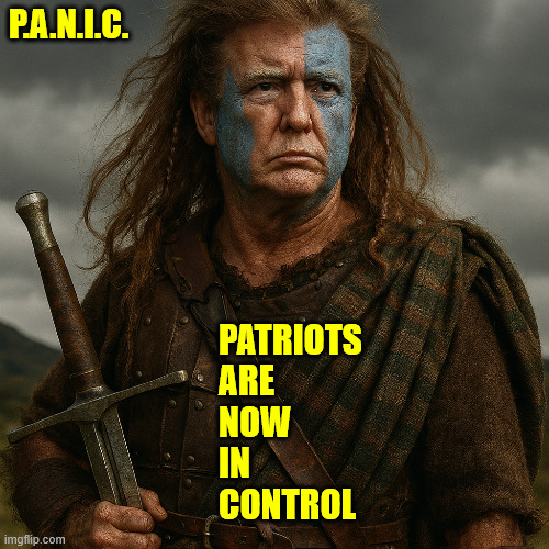 P.A.N.I.C. PATRIOTS
ARE
NOW
IN 
CONTROL | made w/ Imgflip meme maker