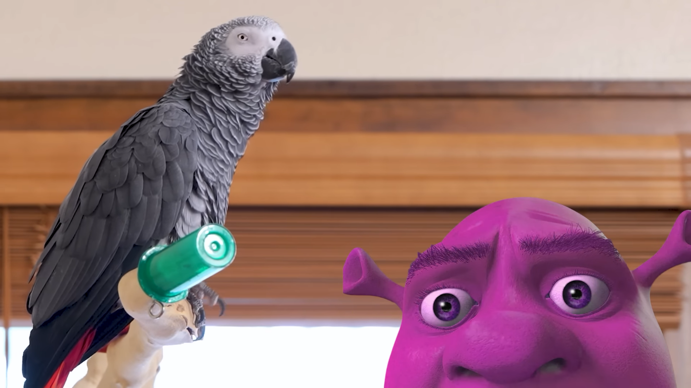 Apollo and Frens - Shrek (Color: Purple) Blank Meme Template