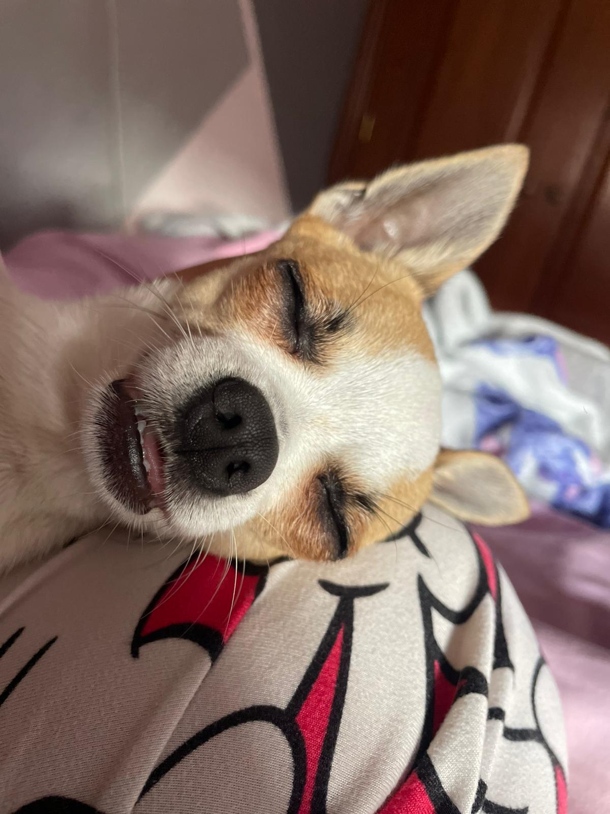 Can I have a kiss? Blank Meme Template