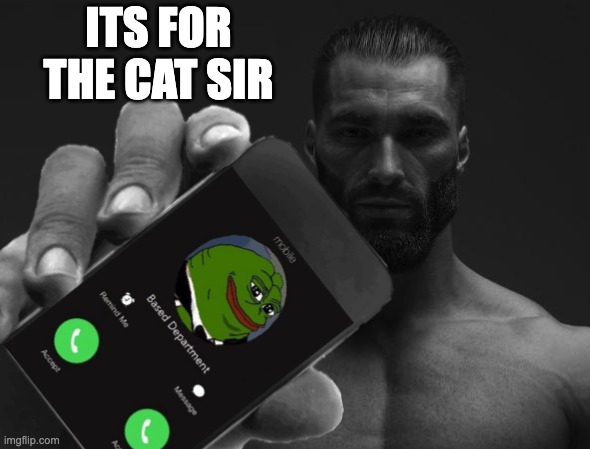 Based department is calling | ITS FOR THE CAT SIR | image tagged in based department is calling | made w/ Imgflip meme maker
