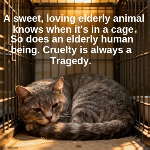 Cruelty is always a tragedy. | image tagged in elderly,cat,cage,cruel | made w/ Imgflip meme maker