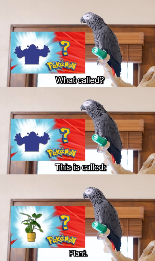 Apollo and Frens - Shrek? No, Plant. Blank Meme Template