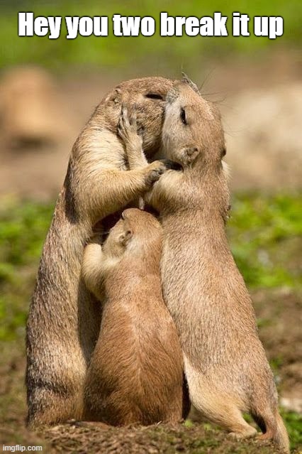 "That's my mom you beast!" | Hey you two break it up | image tagged in funny memes,prairie dogs,kissing | made w/ Imgflip meme maker