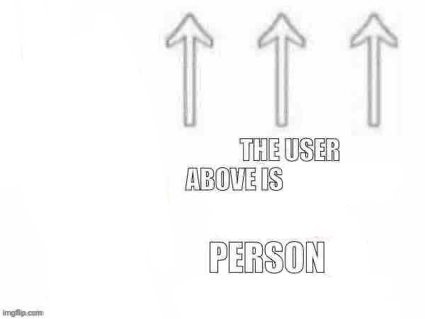 the user above is person | image tagged in the user above is person | made w/ Imgflip meme maker