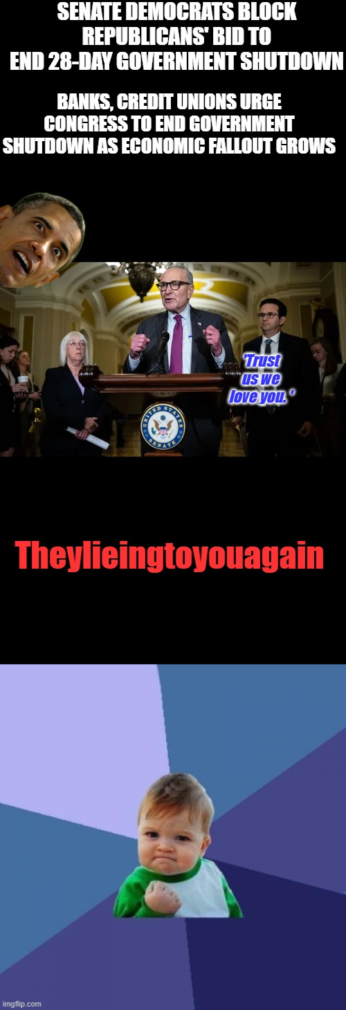 SENATE DEMOCRATS BLOCK REPUBLICANS' BID TO END 28-DAY GOVERNMENT SHUTDOWN; BANKS, CREDIT UNIONS URGE CONGRESS TO END GOVERNMENT SHUTDOWN AS ECONOMIC FALLOUT GROWS; 'Trust us we love you. '; Theylieingtoyouagain | image tagged in memes,success kid | made w/ Imgflip meme maker