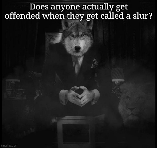 Wolf on a chair | Does anyone actually get offended when they get called a slur? | image tagged in wolf on a chair | made w/ Imgflip meme maker