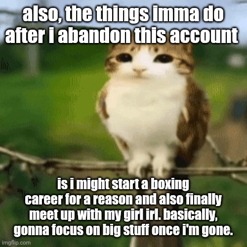it's been fun running ts for like, a year and a couple of months. | also, the things imma do after i abandon this account; is i might start a boxing career for a reason and also finally meet up with my girl irl. basically, gonna focus on big stuff once i'm gone. | made w/ Imgflip meme maker