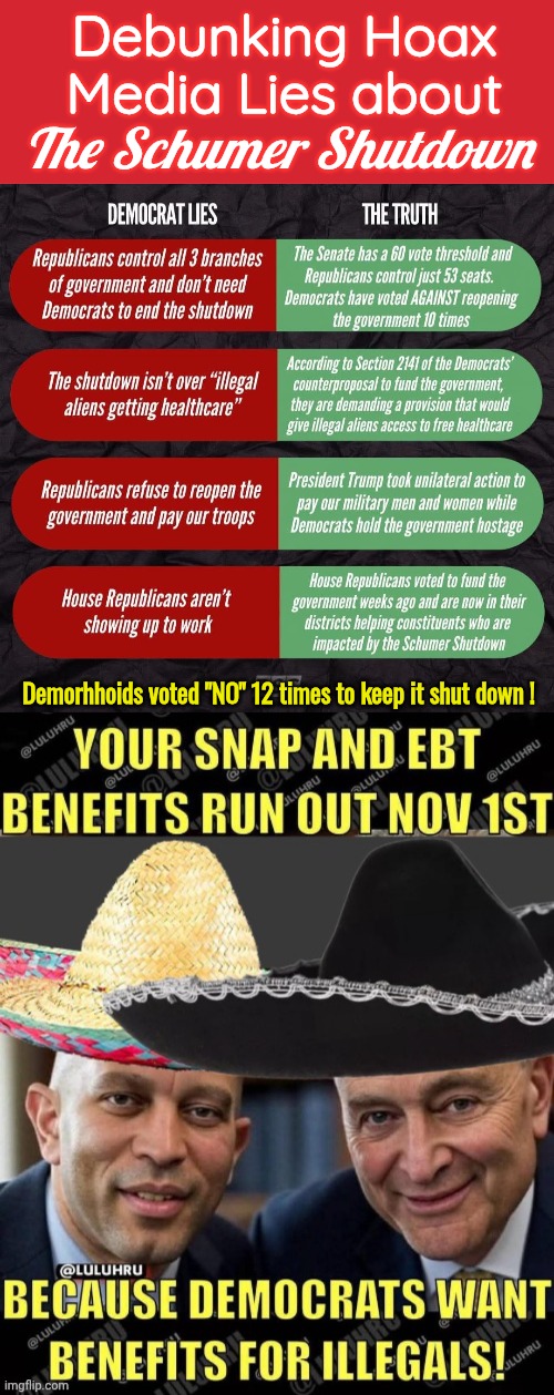 Debunking the Schumer Shutdown | Debunking Hoax Media Lies about; The Schumer Shutdown; Demorhhoids voted "NO" 12 times to keep it shut down ! | image tagged in memes,keep calm and carry on red,chuck schumer | made w/ Imgflip meme maker