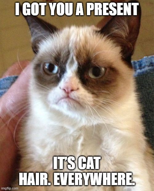 Grumpy Cat Meme | I GOT YOU A PRESENT IT’S CAT HAIR. EVERYWHERE. | image tagged in memes,grumpy cat | made w/ Imgflip meme maker