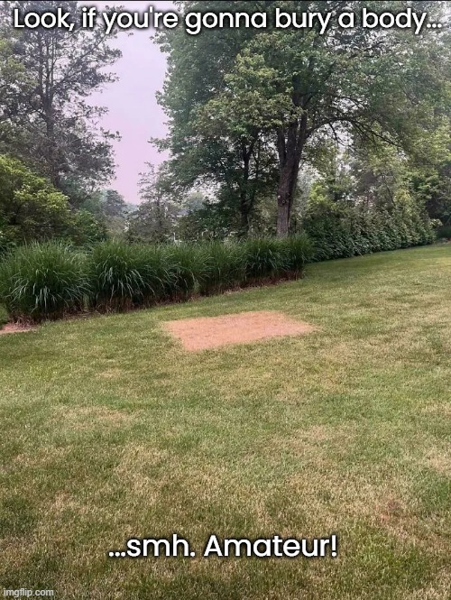 Hey Dummy...you forgot to put the grass back. | Look, if you're gonna bury a body... ...smh. Amateur! | image tagged in funny memes,grave,backyard | made w/ Imgflip meme maker