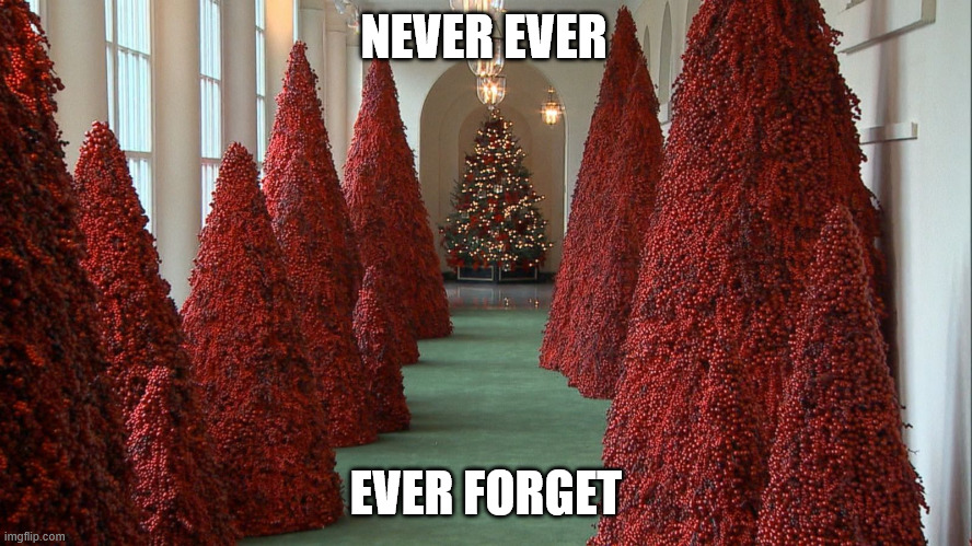 NEVER EVER EVER FORGET | image tagged in trump christmas trees | made w/ Imgflip meme maker