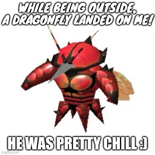 Insects are better than humans. | WHILE BEING OUTSIDE, A DRAGONFLY LANDED ON ME! HE WAS PRETTY CHILL :) | image tagged in rumble buzzwole | made w/ Imgflip meme maker
