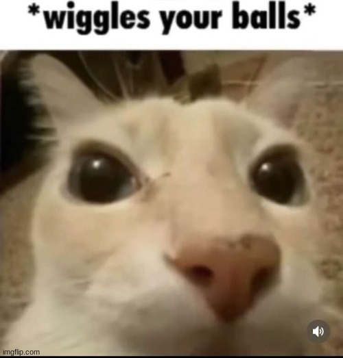 nice balls :3c /j | made w/ Imgflip meme maker