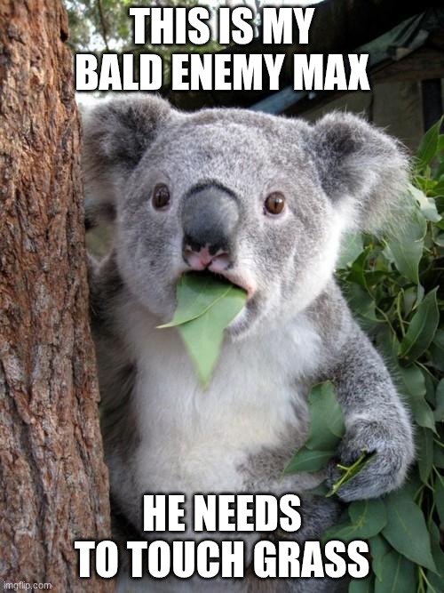 Surprised Koala | THIS IS MY BALD ENEMY MAX; HE NEEDS TO TOUCH GRASS | image tagged in memes,surprised koala | made w/ Imgflip meme maker