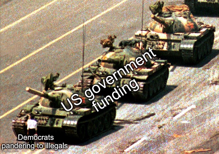 Ds are anti-us citizen. | US government funding; Democrats pandering to illegals | image tagged in china tank man,politics lol,memes | made w/ Imgflip meme maker