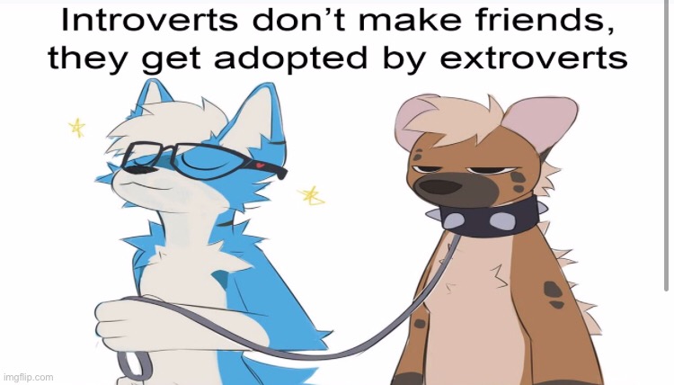 Introverts x extroverts | image tagged in memes | made w/ Imgflip meme maker