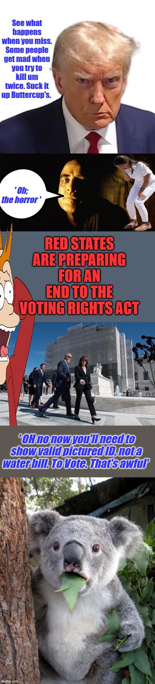 See what happens when you miss. Some people get mad when you try to kill um twice. Suck it up Buttercup's. ' Oh; the horror '; RED STATES ARE PREPARING FOR AN END TO THE VOTING RIGHTS ACT; ' OH no now you'll need to show valid pictured ID, not a water bill. To Vote. That's awful' | image tagged in trump mugshot,memes,surprised koala | made w/ Imgflip meme maker