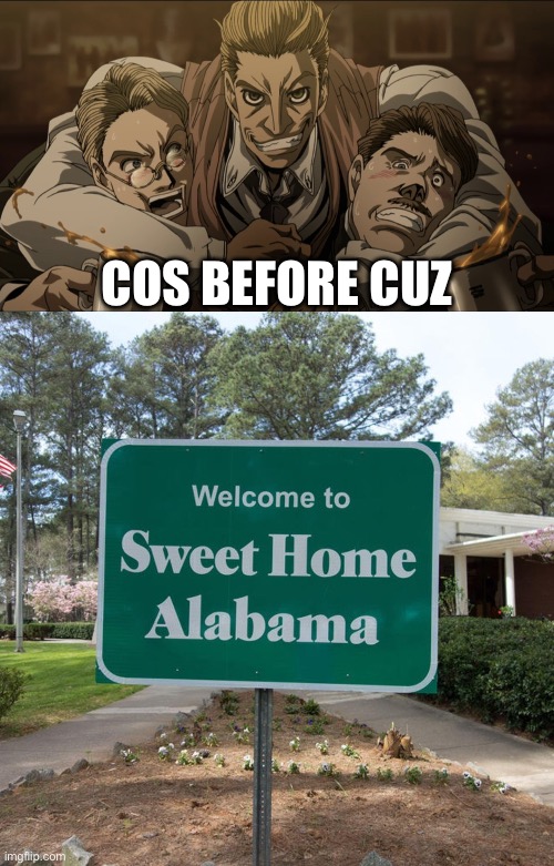 COS BEFORE CUZ | image tagged in bros before hoes,welcome to sweet home alabama | made w/ Imgflip meme maker
