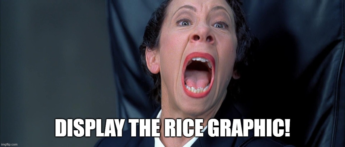 DISPLAY THE RICE GRAPHIC! | made w/ Imgflip meme maker