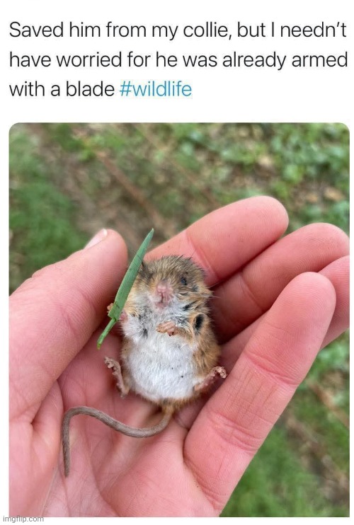 Wee guy is an absolute unit | made w/ Imgflip meme maker