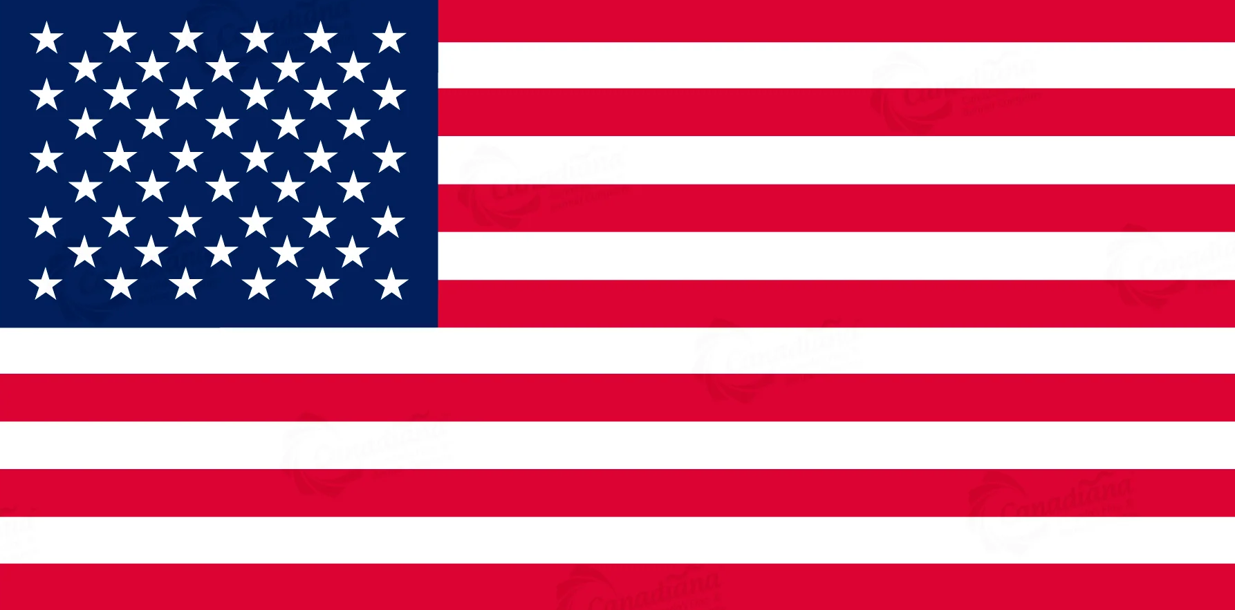 us flag Blank Meme Template