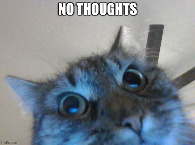 Cars | NO THOUGHTS | made w/ Imgflip meme maker