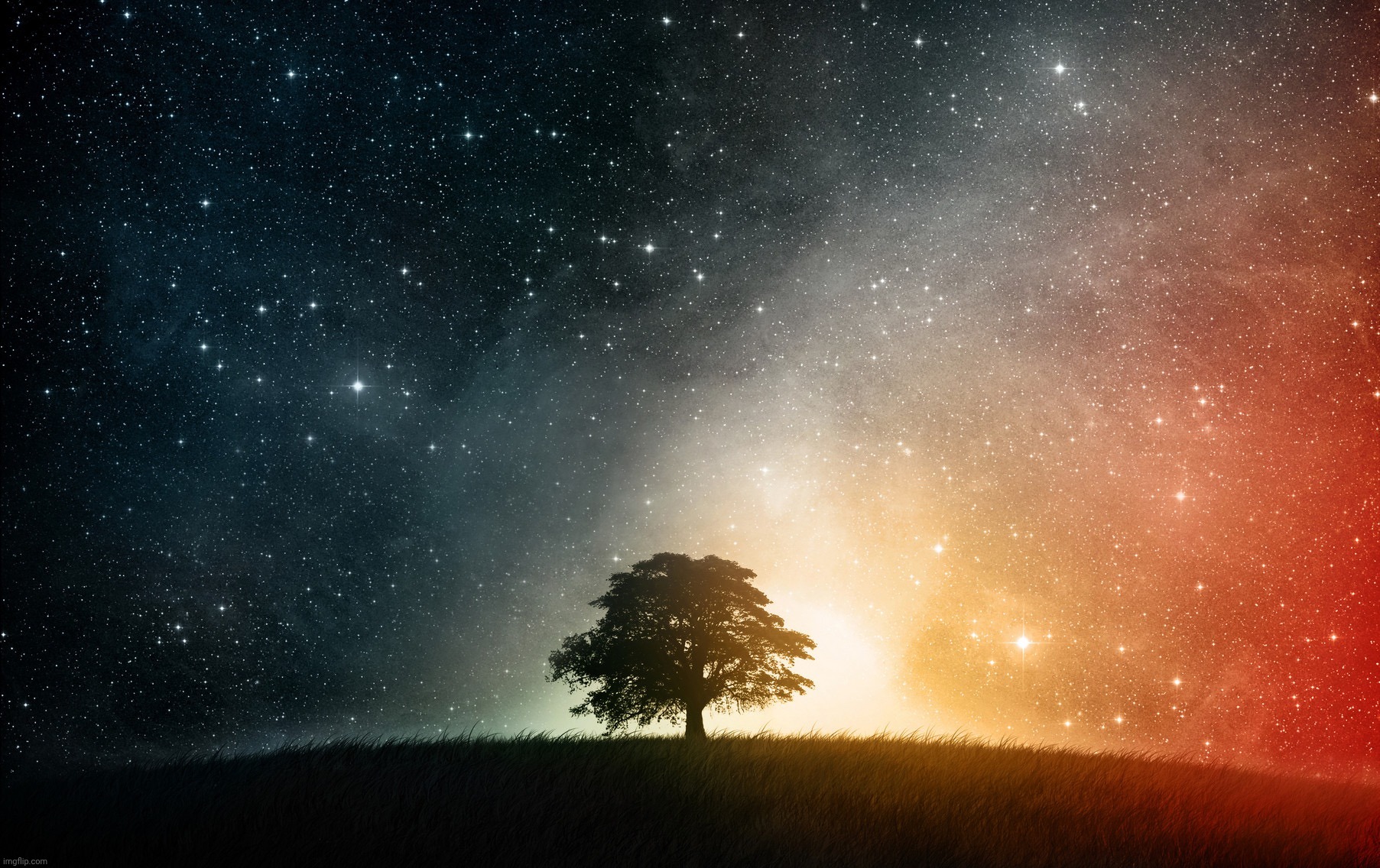 Solitary tree | image tagged in solitary tree | made w/ Imgflip meme maker