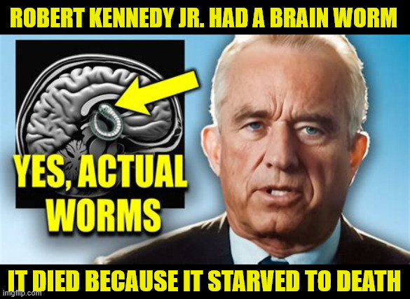 No gray matters | ROBERT KENNEDY JR. HAD A BRAIN WORM; IT DIED BECAUSE IT STARVED TO DEATH | image tagged in no gray matters,no brains,dead worms,rechwing nutjob,bobby is a md mental deficient | made w/ Imgflip meme maker