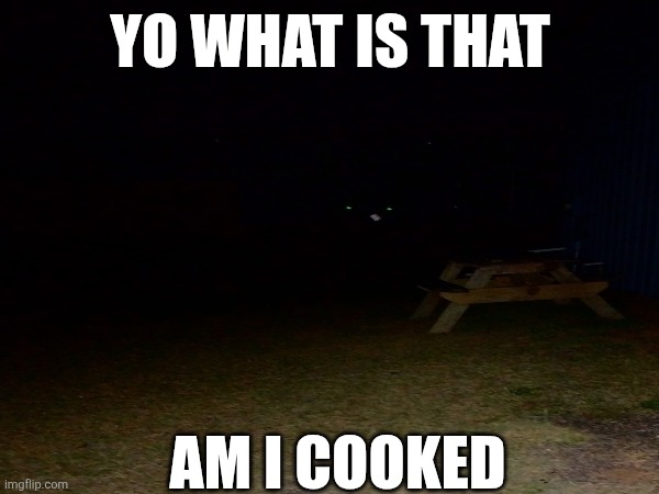 YO WHAT IS THAT; AM I COOKED | made w/ Imgflip meme maker