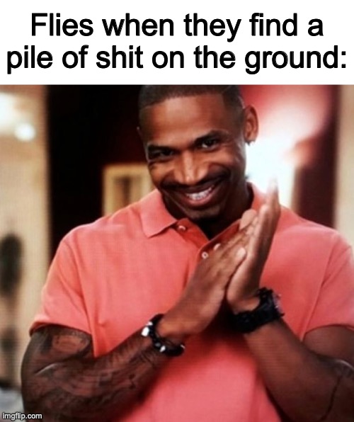 dinner experimentation | Flies when they find a pile of shit on the ground: | image tagged in devious,memes,flies,stupid memes,crappy memes | made w/ Imgflip meme maker
