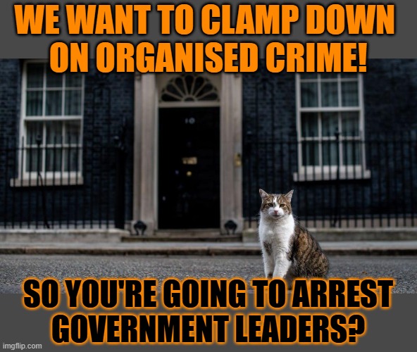 This #lolcat wonders if politicians should fear if their government wants to arrest criminals | WE WANT TO CLAMP DOWN 
ON ORGANISED CRIME! SO YOU'RE GOING TO ARREST
GOVERNMENT LEADERS? | image tagged in criminals,politicians,lolcat | made w/ Imgflip meme maker