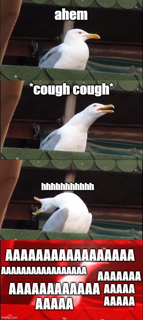 *INHALE* | ahem; *cough cough*; hhhhhhhhhhh; AAAAAAAAAAAAAAAAA; AAAAAAAAAAAAAAAAA; AAAAAAA
AAAAA
AAAAA; AAAAAAAAAAAA
AAAAA | image tagged in memes,inhaling seagull | made w/ Imgflip meme maker