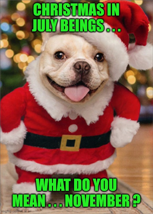 Christmas Doggy | CHRISTMAS IN JULY BEINGS . . . WHAT DO YOU MEAN . . . NOVEMBER ? | image tagged in christmas doggy | made w/ Imgflip meme maker