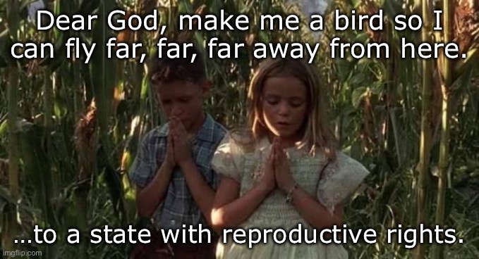 Jenny’s Prayer | Dear God, make me a bird so I can fly far, far, far away from here. …to a state with reproductive rights. | image tagged in forrest gump and jenny | made w/ Imgflip meme maker