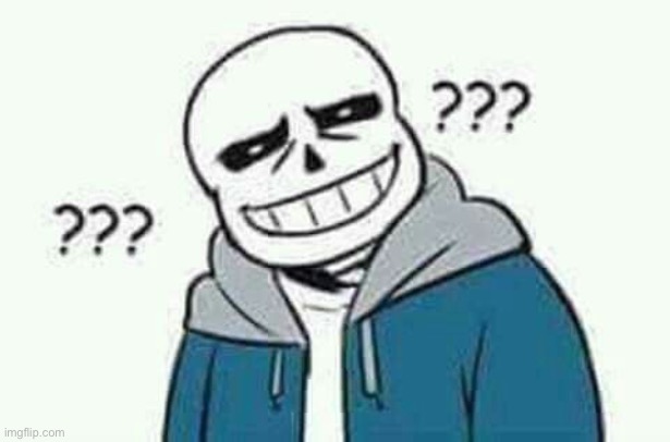 image tagged in sans the skeleton wut | made w/ Imgflip meme maker