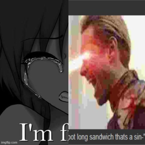 I'm fi | image tagged in i'm fi | made w/ Imgflip meme maker