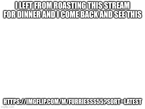 I LEFT FROM ROASTING THIS STREAM FOR DINNER AND I COME BACK AND SEE THIS; HTTPS://IMGFLIP.COM/M/FURRIESSS55?SORT=LATEST | made w/ Imgflip meme maker