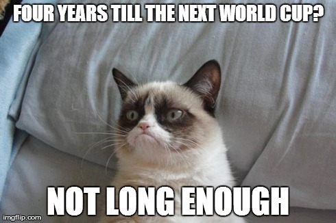 Grumpy Cat Bed | FOUR YEARS TILL THE NEXT WORLD CUP? NOT LONG ENOUGH | image tagged in memes,grumpy cat bed,grumpy cat,AdviceAnimals | made w/ Imgflip meme maker