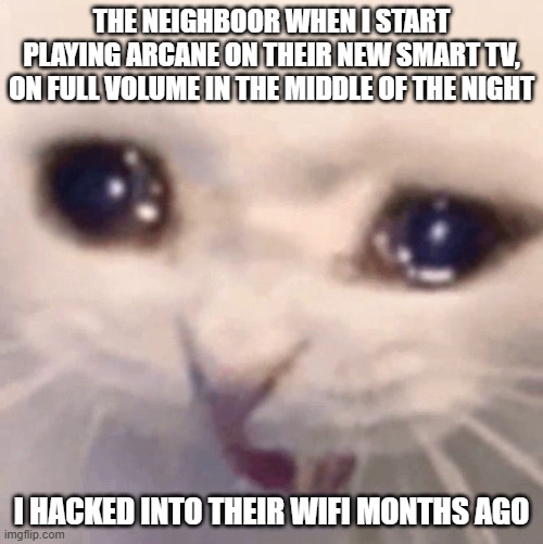 Day 337 of Arcane memes until the next season/series comes out. | THE NEIGHBOOR WHEN I START PLAYING ARCANE ON THEIR NEW SMART TV, ON FULL VOLUME IN THE MIDDLE OF THE NIGHT; I HACKED INTO THEIR WIFI MONTHS AGO | image tagged in scared cat,arcane | made w/ Imgflip meme maker