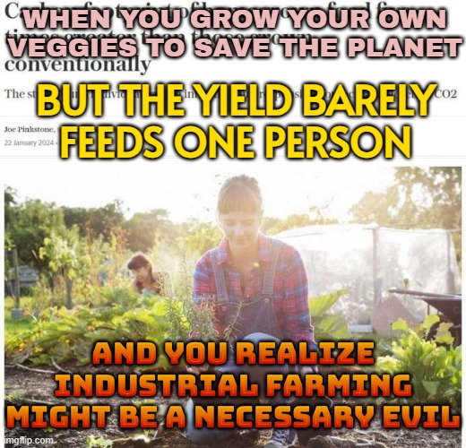 WHEN YOU GROW YOUR OWN VEGGIES TO SAVE THE PLANET | WHEN YOU GROW YOUR OWN VEGGIES TO SAVE THE PLANET; BUT THE YIELD BARELY
FEEDS ONE PERSON; AND YOU REALIZE
INDUSTRIAL FARMING
MIGHT BE A NECESSARY EVIL | image tagged in carbon footprint of homegrown food,food memes,save the earth,planet earth,farming,veggietales 'allow us to introduce ourselfs' | made w/ Imgflip meme maker